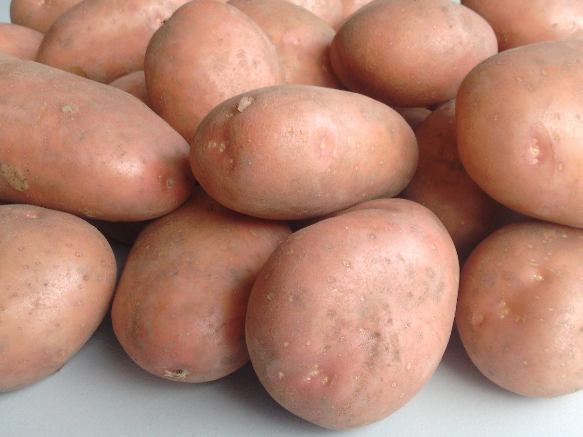 Wansink Aardappelen header Mennopper